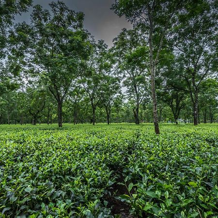 Chālsa Tusker Tea County酒店 外观 照片