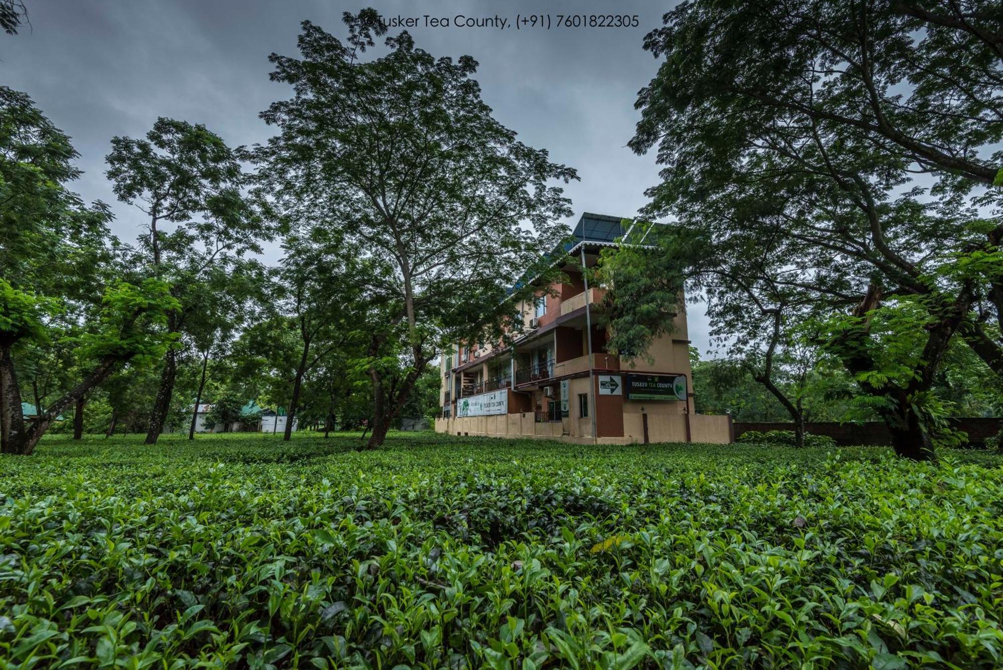 Chālsa Tusker Tea County酒店 外观 照片