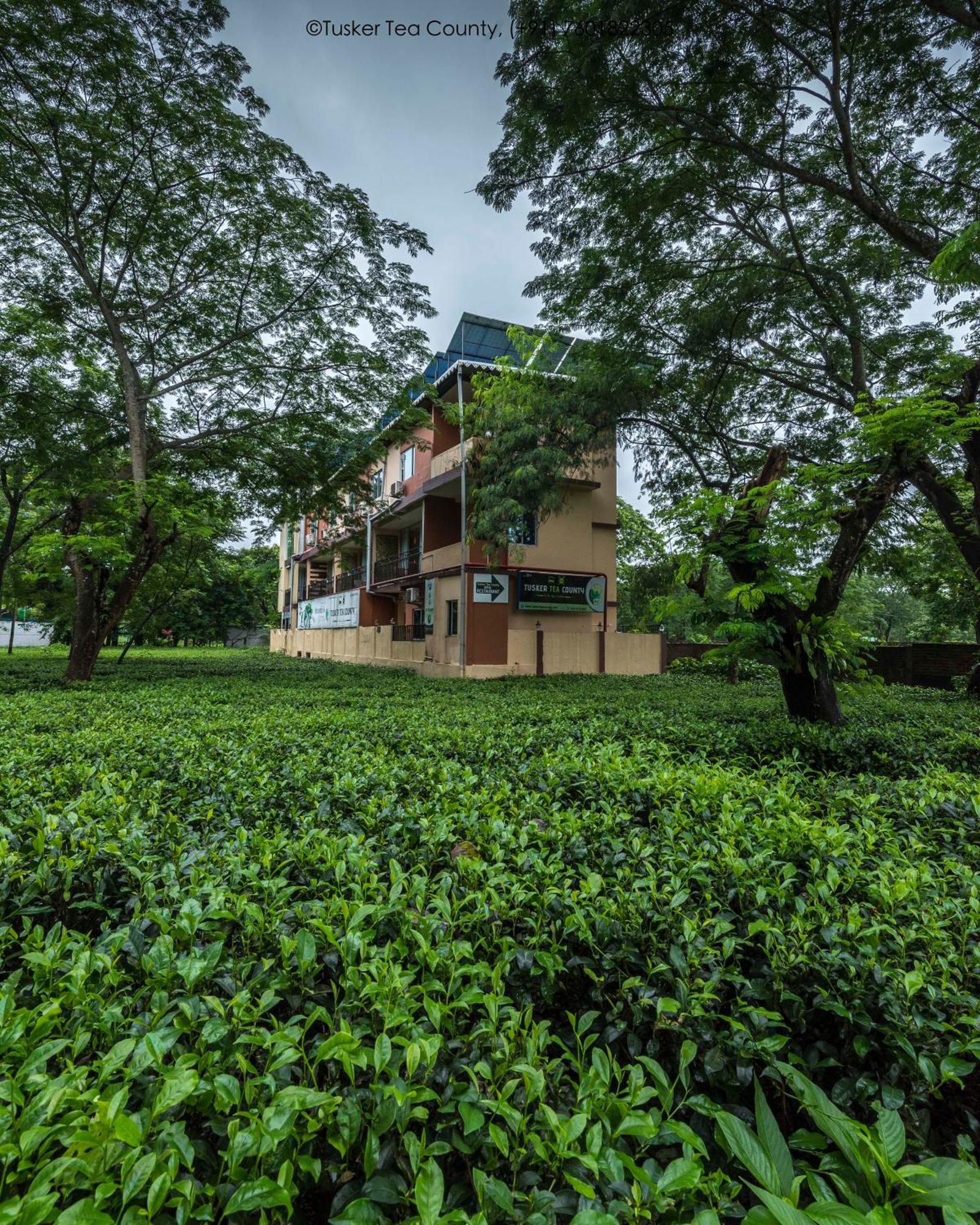 Chālsa Tusker Tea County酒店 外观 照片
